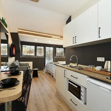 公寓 New Nalbant Apartment *